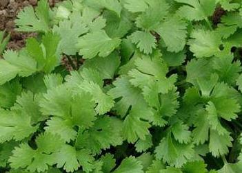 ���ʩ����Ҫע����Щ��