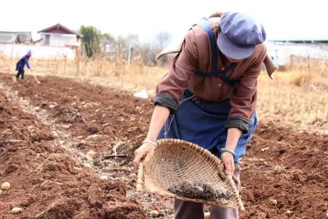 �������ʷ�Ч��ô�ӣ���οƌWʩ�û���������