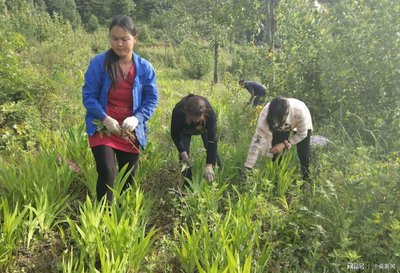 ���Ҏ(gu��)�ܴ���e�Nֲ��ˎ�ĵ��`�^(q��)��