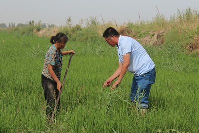 ˮ���Nֲ�x���_���������ʩ����ʹˮ���ճɺ���