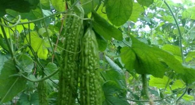 ���ʩ�ʺ��P�I�����ʩ�ʼ��gҪ�c��B