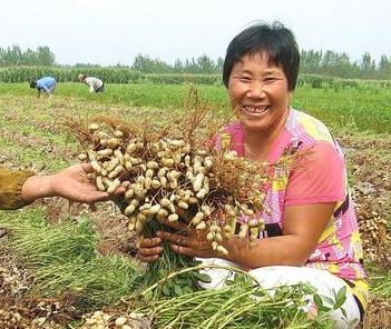 ���������~��ʣ���Ч�A(y��)���S����