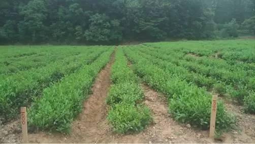 ��ҪäĿʩ���ˣ��N�費��ȱ�ٵ�ʩ�ʼ��g