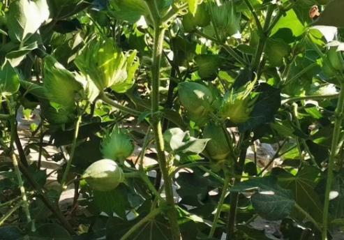 �޻���픺������a�ʣ��޻���픺��ˮ�ʹ���