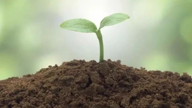 ���ڵ��ʴ���܉�����֪��֪�ˆ᣿