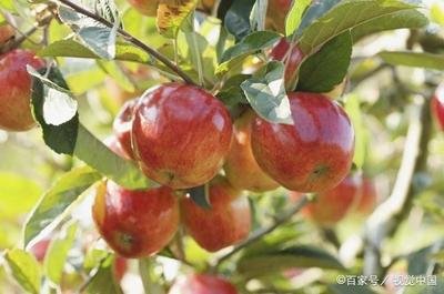 �ļ�ʩ���ϣ���ʺ���Ҫ��ʩ�ʴ�ʩҪ���ģ�