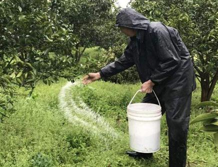 ����ʩ�ʞ��Ҫ��ʩ��