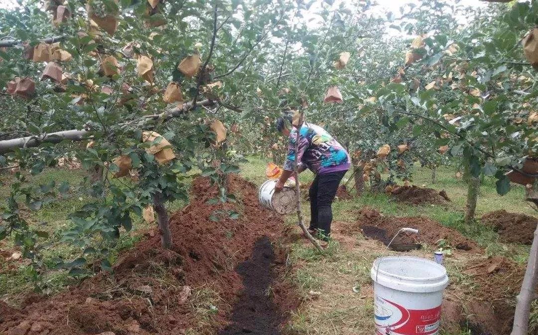 �＾ʩ�����׷���8���e�`