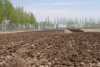 �r(n��ng)�ҷʼ�һ�c(di��n)�����ӄ�������Ч�͕�(hu��)����������ǧ�f�����@ô�ã�