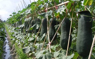 �������������y���߮a�䌍�ܺ��Σ�