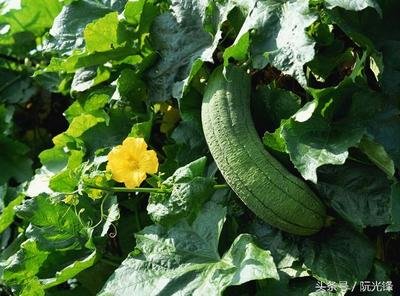 �z�Ϟ�ʲô���l(f��)�ࣿ��ν�Q�z�Ͽ�ζ���}��