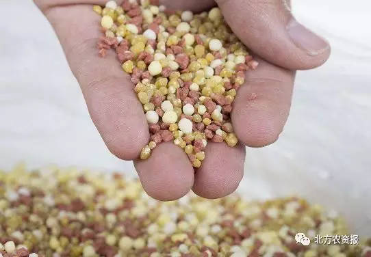 ��������Ч�ı��|�چ�����������c�M���������a��