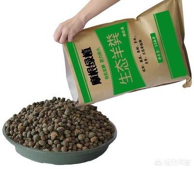 �����еġ��򃺡�����Ҋ���ӣ����B(y��ng)���ܺ��m��֪����