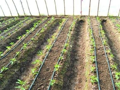 �����úÛ_ʩ����