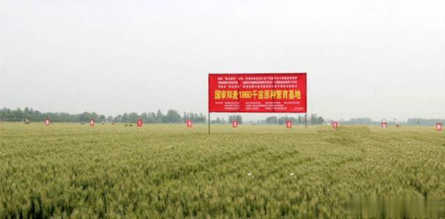 �׷��õĺ� С���a(ch��n)����