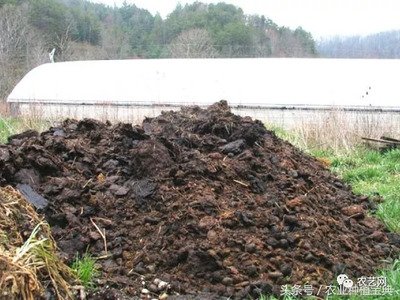 ��N�S�ʺܳ�Ҋ��Ԫ�غ���������,��Ҫ֪���c�M����