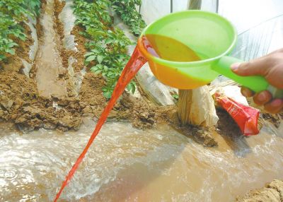 Һ�w�����c���w���ϲ���@�ӵģ�