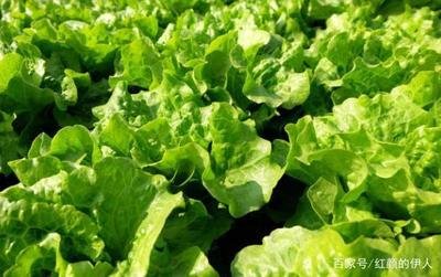 ������ô�Nֲ���װlѿ�����˵Ĳ��N��������Щ��