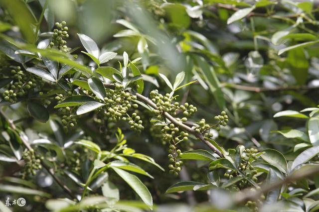 ���~�໨��������޼��������Nֲ���g