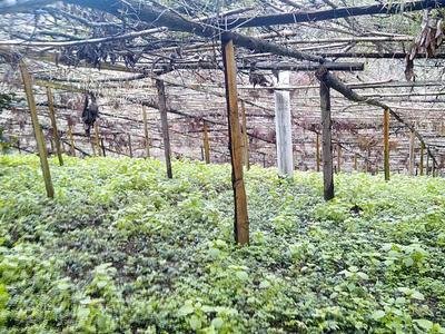 �S�B�Nֲ��������Щ���S�B��Ʒ�N���