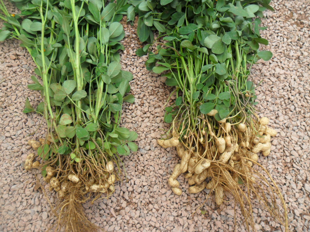 �Ĳ�����ʩ�ʡ�������