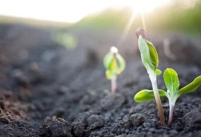 ���˾��ʛ]Ч��զ�k����(d��o)�¾���ʧЧ��ԭ��