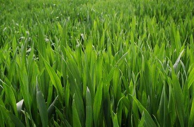 ��ػ�����С������Щ���x����С���к��ڵĲ��x����