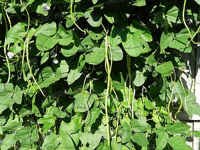 �����L�ݺã���Ҫ���ǵĿƌWʩ�ʹ���