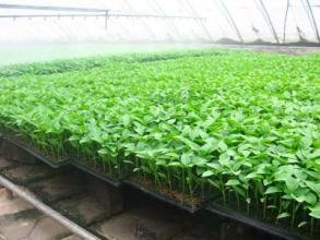 ������ô�޽ӣ������޽Ӽ��gҪ�c��