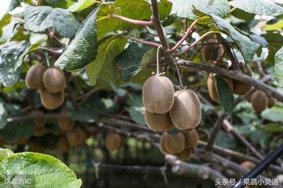 �J����ʩ���r(n��ng)�ҷʴ��ڵ��Ĵ�(w��n)�}������