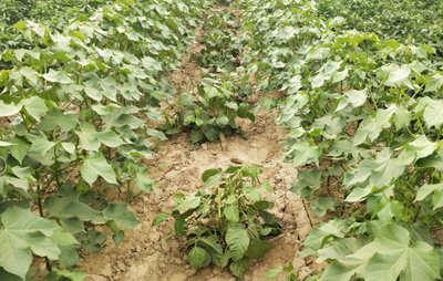 �G������ʩ���ܸ߮a(ch��n)���G���߮a(ch��n)��ʩ�ʷ���