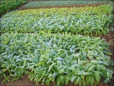 Խ����ˎ�����ӷ�������ˎ�ķ����ķ�