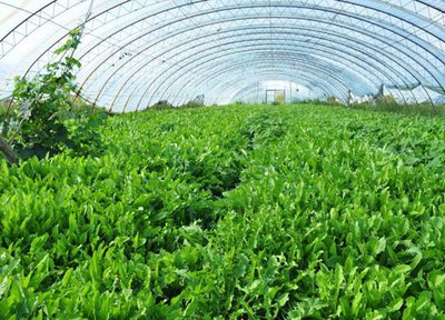 �����߲������M�����g������ע���@���c�͉���