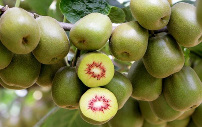 �J�������ӌ��F���|�S�a������ڷۺ��P�I