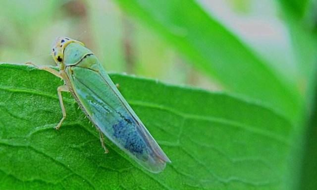 �Ҙ��~�sԓ��η��Σ��Ҙ��~�s���η�����