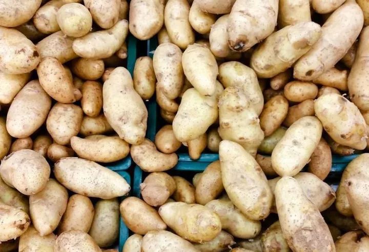 �R����Nֲ��ô�ܸ߮a(ch��n)���R�������С���ɣ�