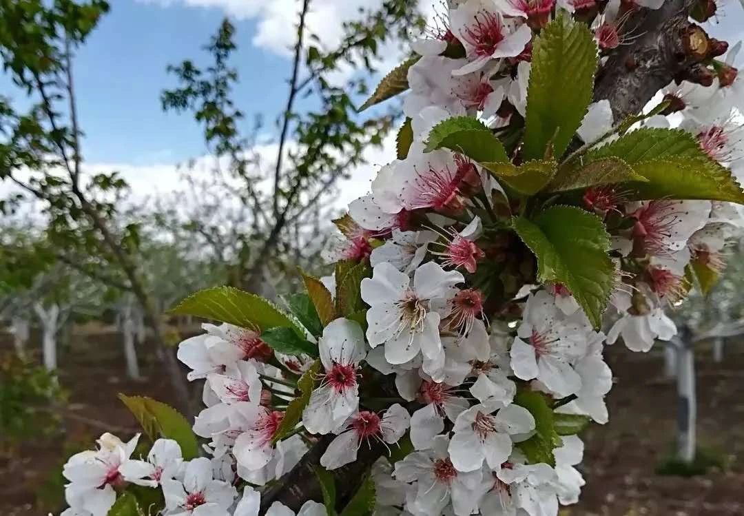 �������⛌�������ʲô���ã��m��ʲô��ʹ�ã�