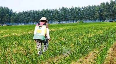 �Ϸ��絾���ڷ������缼�g(sh��)ָ��(d��o)��Ҋ