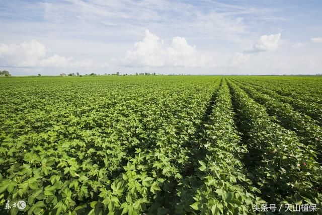 ُ�I���ʵĕr��ԓע��ʲô��ُ�I�����Ŀ��Ĳ�Ҫ��