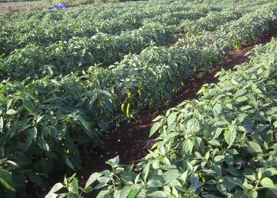 ������ʩ�ʼ��g(sh��)�cʩ�����c(di��n)��֪��ô���s���˽�һ�°�