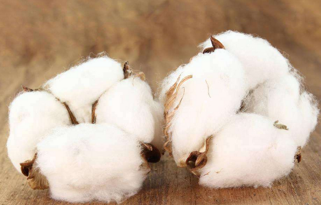 �޻���ԓ����׷�ʣ��޻�׷�ʼ��ɣ�