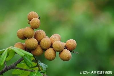 ������οƌWʩ�ʣ����ۿƌWʩ�ʷ�����