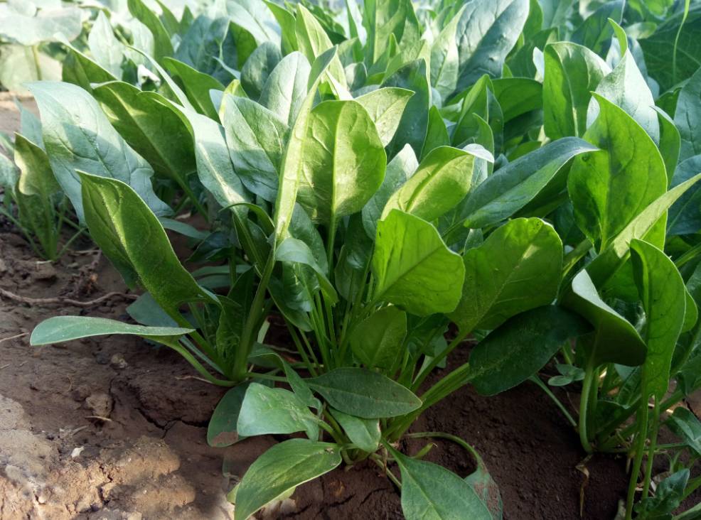 ���ˑ�ԓ���ӝ�ˮ�cʩ�ʣ����˵ĝ�ˮ�cʩ�ʼ��g��