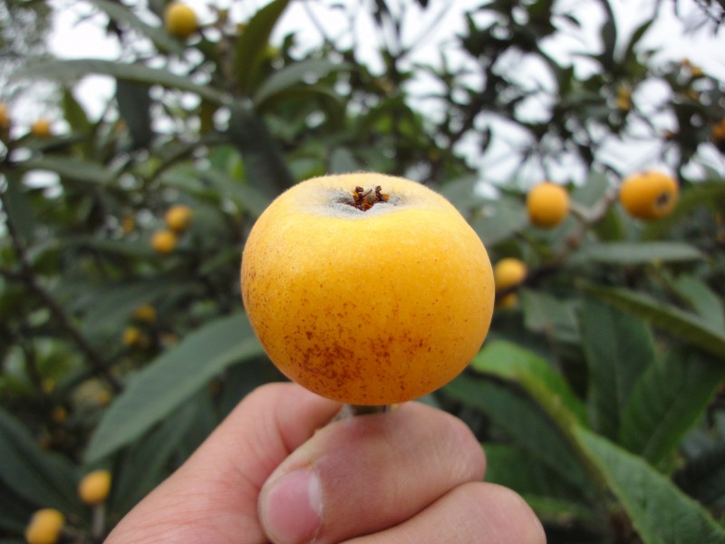 ���ˑ�ԓ����ʩ�ʣ����˵ĿƌWʩ�ʷ�����