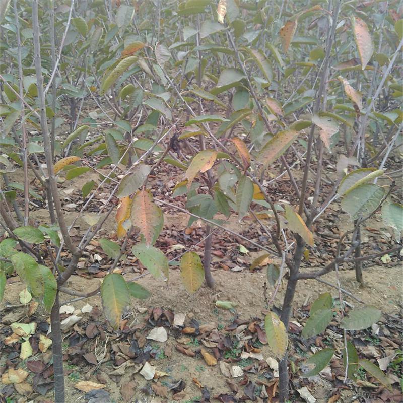 �����J��ôʩ����֪��ô�������Jʩ�ʼ��g(sh��)��