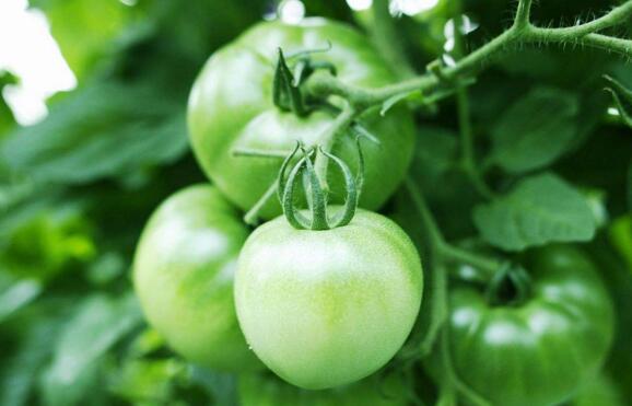 ��������ʩ�ʲ��ܸ߮a�����Ѹ߮aʩ�ʼ��g��