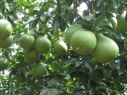 �������ʩ�ʲ������|(zh��)�����a(ch��n)�����ӿƌWʩ�ʼ��g��