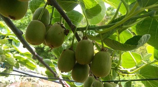 �J���҉ѹ��ʑ�(y��ng)ԓ��ʲô�r(sh��)��ʩ�������Ƕ�����