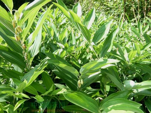 �S����ԓ����ʩ�ʣ��S��ʩ�ʼ��g��