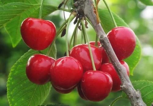 ���ґ�(y��ng)ԓ��ʲô�r(sh��)��ʩ��������ʩ�ʼ��g(sh��)��